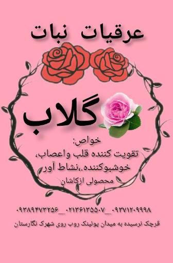 عکس عرقیات نبات