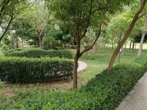 عکس پارک ساحلی شهیدان گمنام