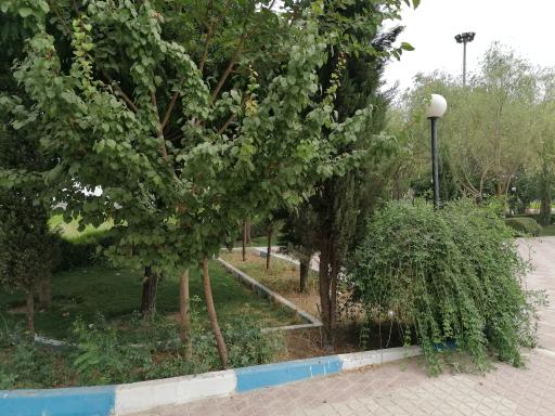 عکس پارک ساحلی شهیدان گمنام