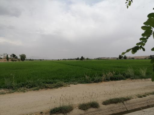 عکس پارک ساحلی شهیدان گمنام