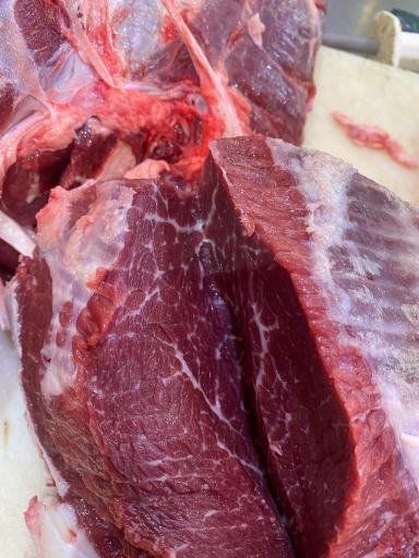 عکس پخش گوشت جواد لطفی