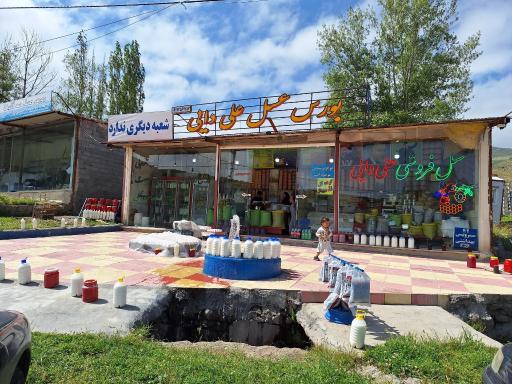 عکس بورس عسل علی دایی