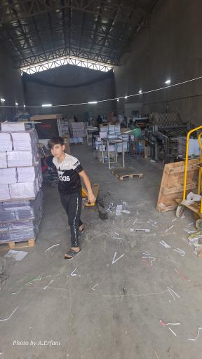 عکس صحافی برادران بشکار