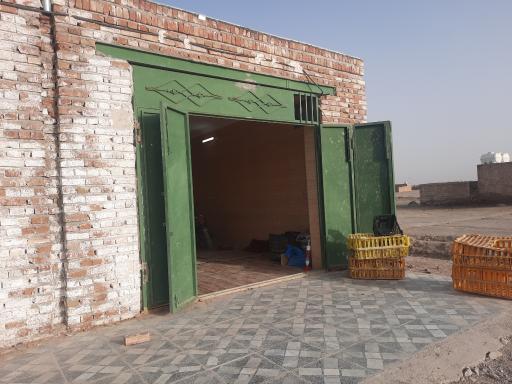 عکس مرغ فروشی طیب