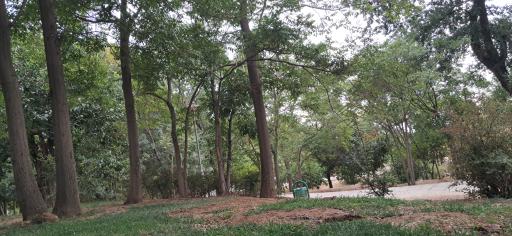 بوستان پلیس