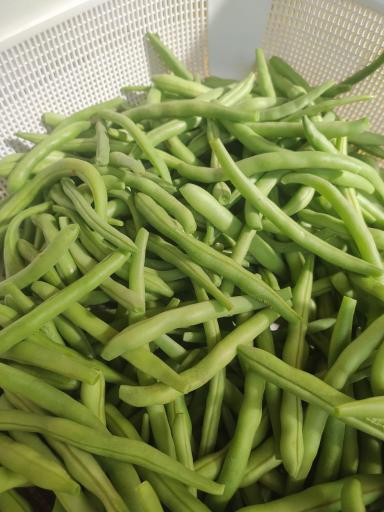 عکس سبزی فروشی یونا