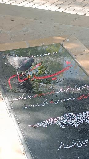 عکس بوستان پلیس