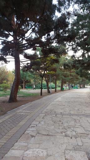 عکس بوستان پلیس