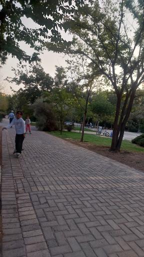 عکس بوستان پلیس