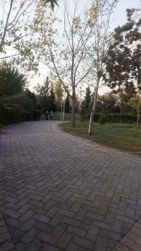 عکس بوستان پلیس
