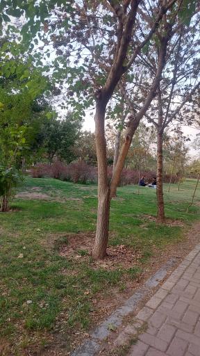 عکس بوستان پلیس