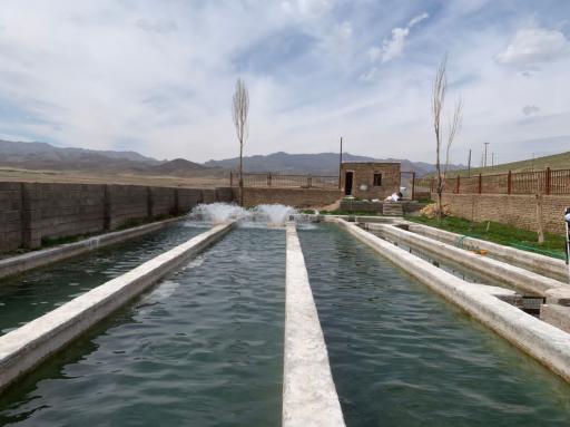 عکس سوران