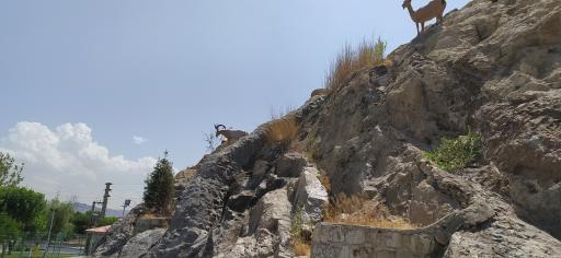 عکس بوستان بهشت