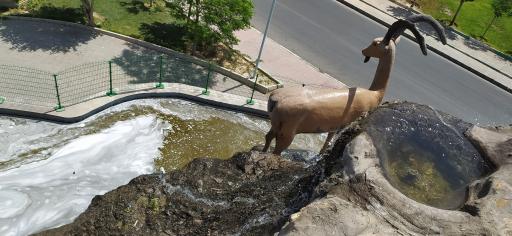 عکس بوستان بهشت