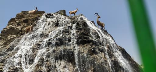 بوستان بهشت