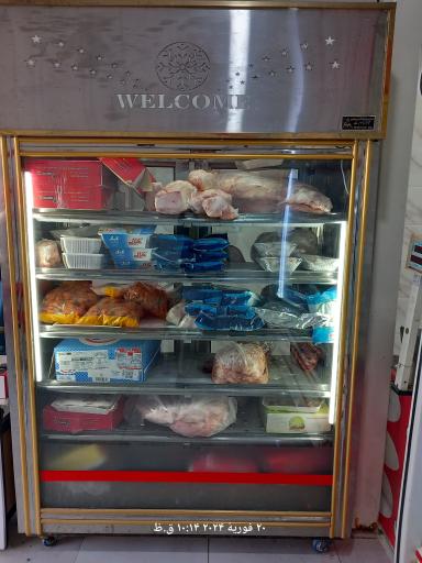 عکس مرغ و ماهی ساحل