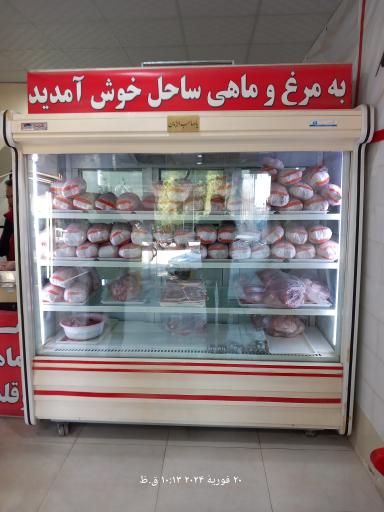 عکس مرغ و ماهی ساحل