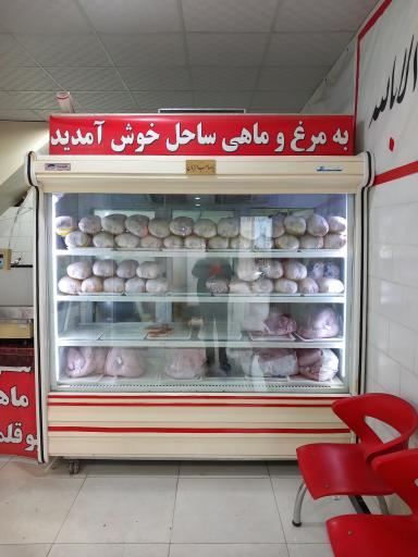 عکس مرغ و ماهی ساحل