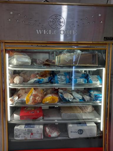 عکس مرغ و ماهی ساحل