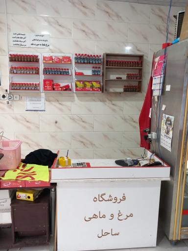 عکس مرغ و ماهی ساحل