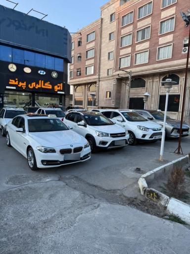 عکس اتوگالری پرند