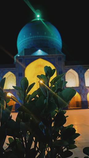 عکس امامزاده محمد صالح (ع)