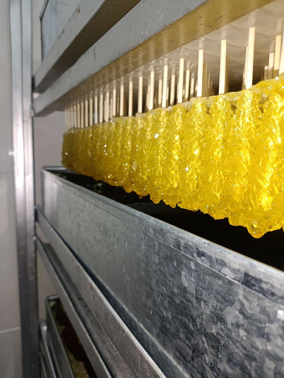 عکس تولیدی نبات آبنبات 