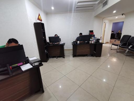 عکس ایران گانودرما