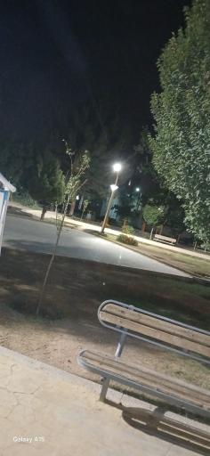 عکس بوستان گل نرگس