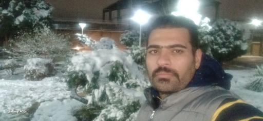 عکس بوستان گل نرگس
