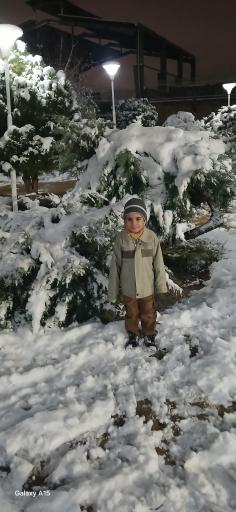 عکس بوستان گل نرگس