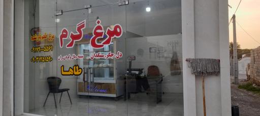 عکس مرغ گرم طاها