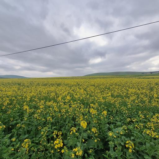 عکس جعفر آباد