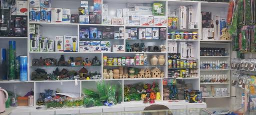 عکس آکواریوم اروند