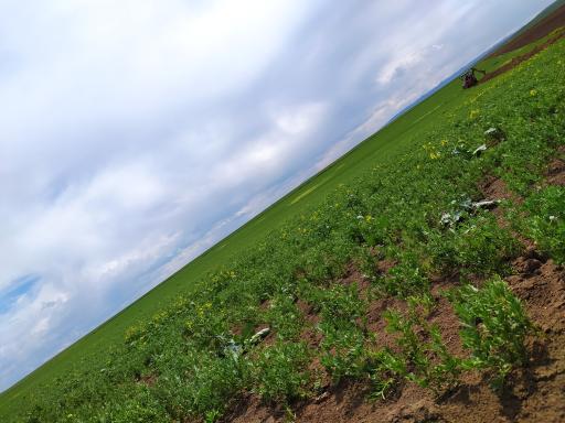 عکس جعفر آباد