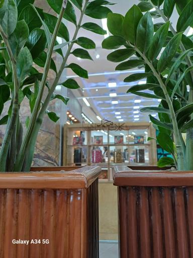 عکس سوهان محمد ساعدی نیا