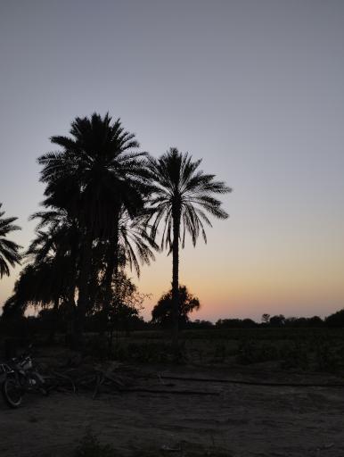 عکس بندر جاسک