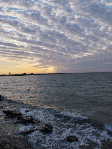 عکس بندر جاسک