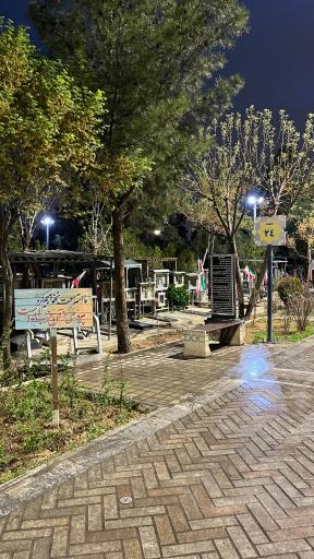 عکس بهشت زهرا (س)