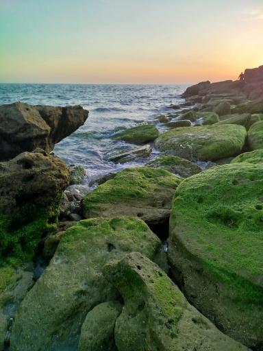 عکس بندر جاسک