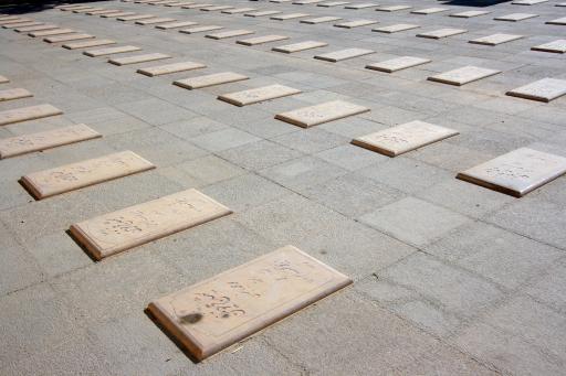 عکس بهشت زهرا (س)