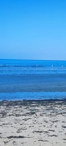 عکس بندر جاسک