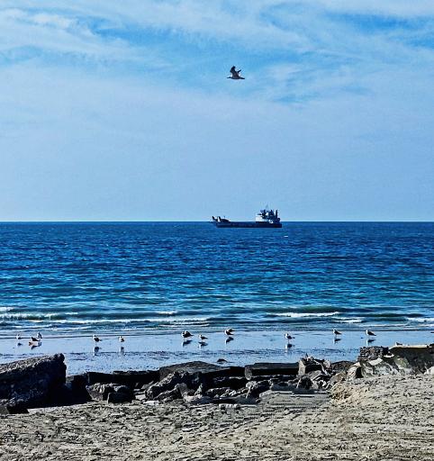 عکس بندر جاسک