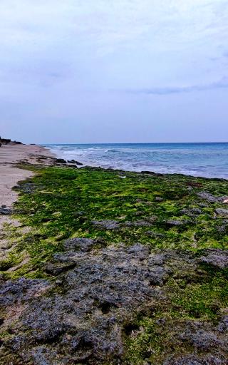 عکس بندر جاسک