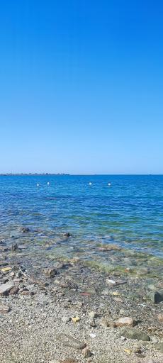 عکس بندر جاسک