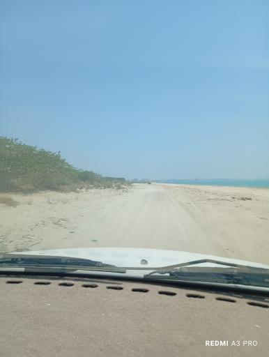 عکس بندر جاسک