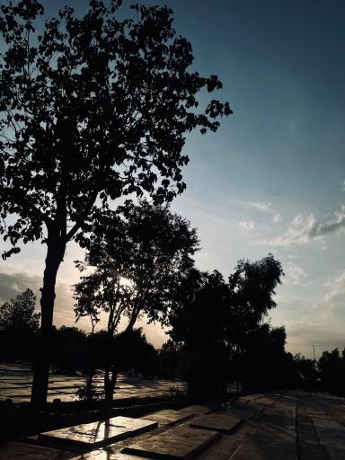 عکس بهشت زهرا (س)