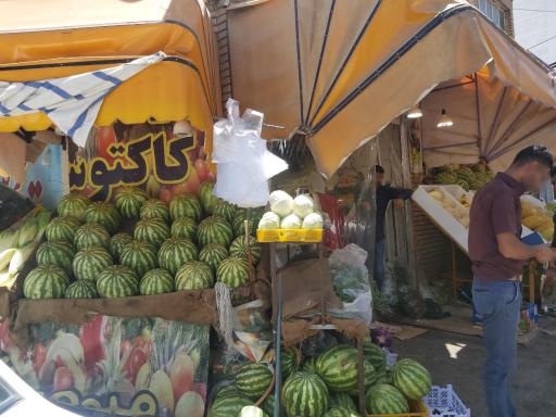 عکس میوه فروشی کاکتوس