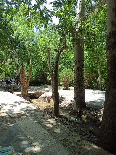 عکس بوستان سرچشمه سرابان