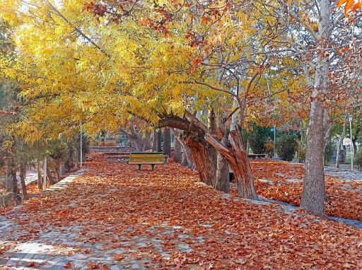 عکس بوستان سرچشمه سرابان